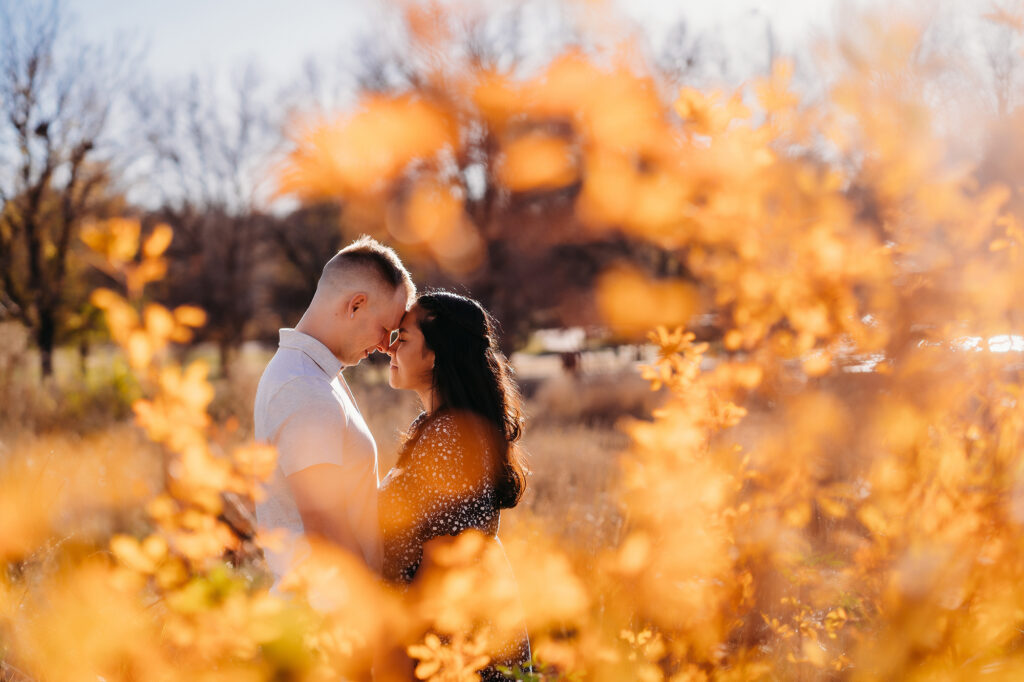 Colorado elopement photographer captures couple embracing in leaves
