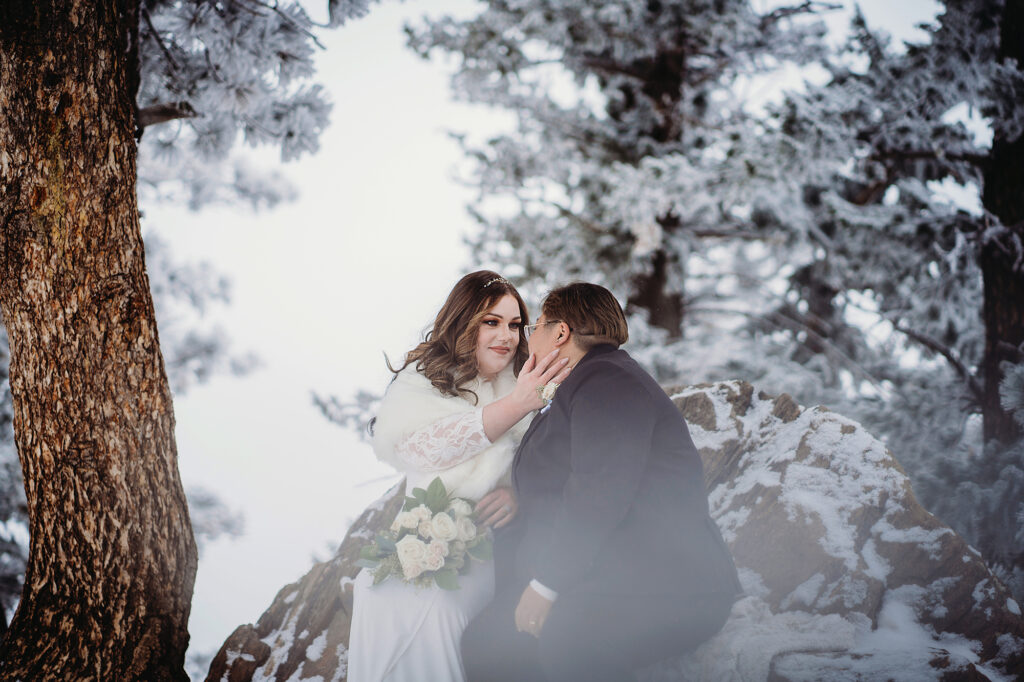 A bride in a white dress holds the cheek of her partner in a suit as they sit under snowy branches on Lookout Mountain in a portrait by Colorado elopement photographers