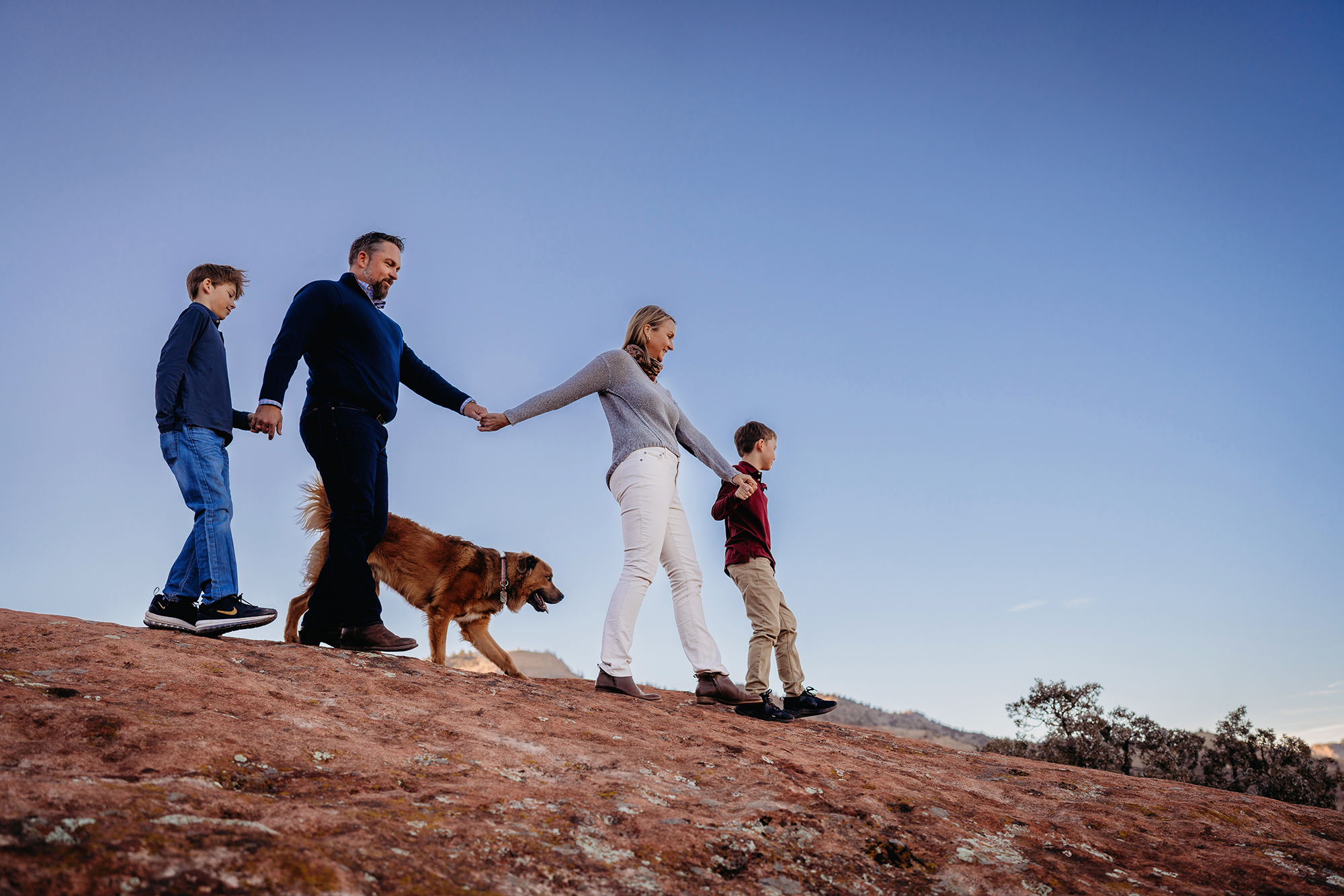 denver family photographers captures family photo with mother and father holding hands with their two young boys as they walk down the hill together with their dog