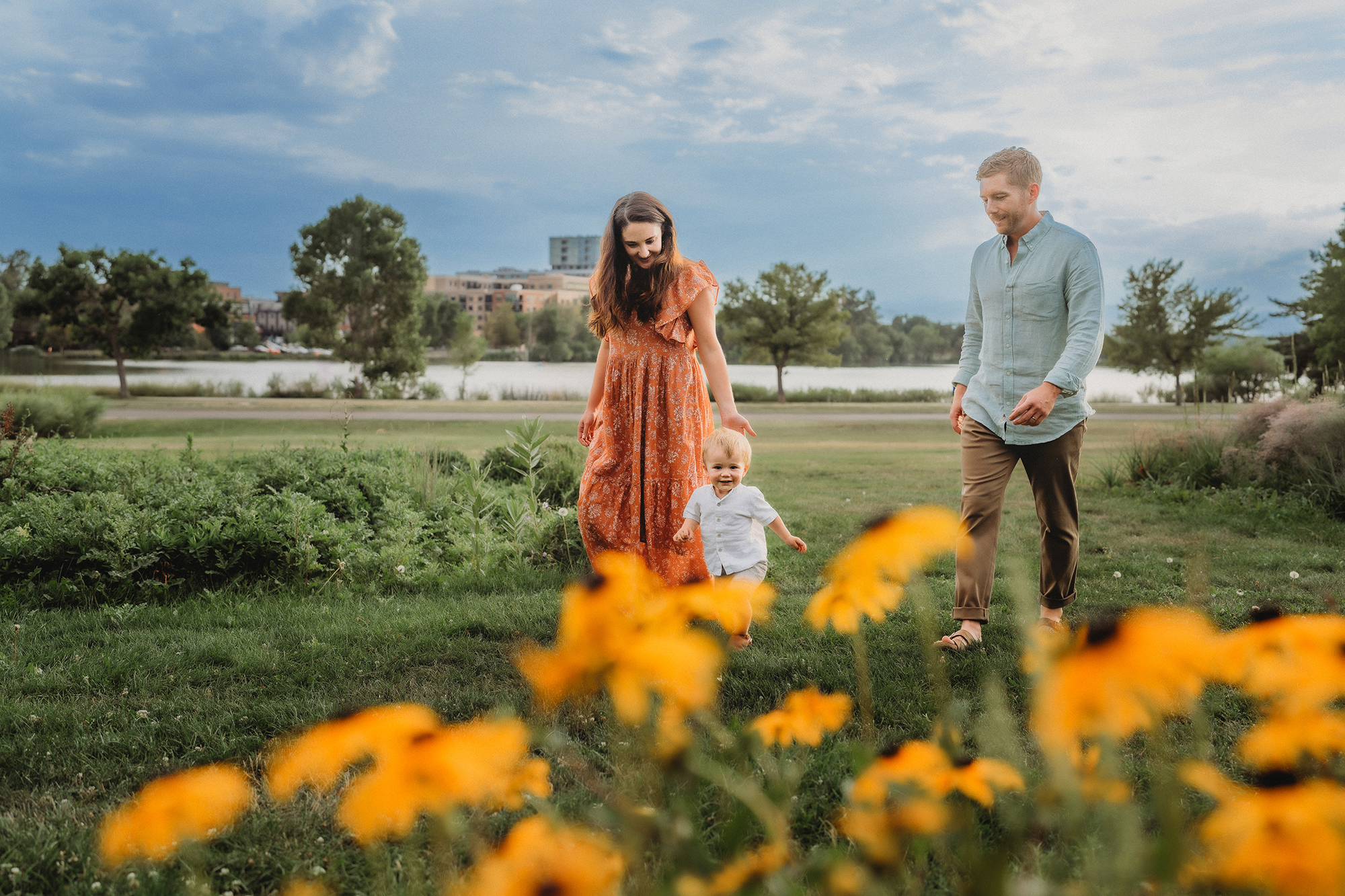 denver family photographers captures outdoor family pictures in the summer with african daisies littering a field while mother, father and child walk together exploring the location