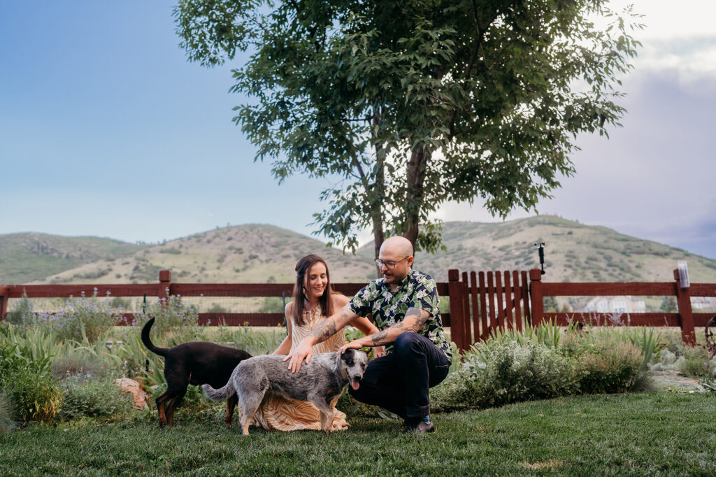 Denver wedding photographer captures couple sitting with dogs during destination engagement session