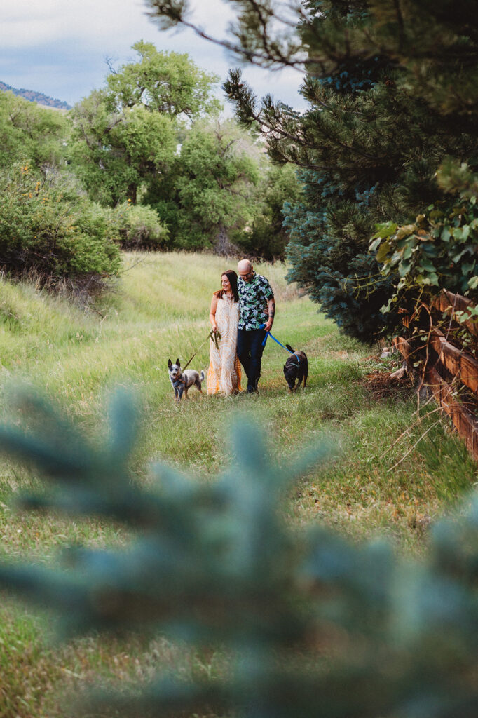 Denver wedding photographer captures couple walking dogs in forest