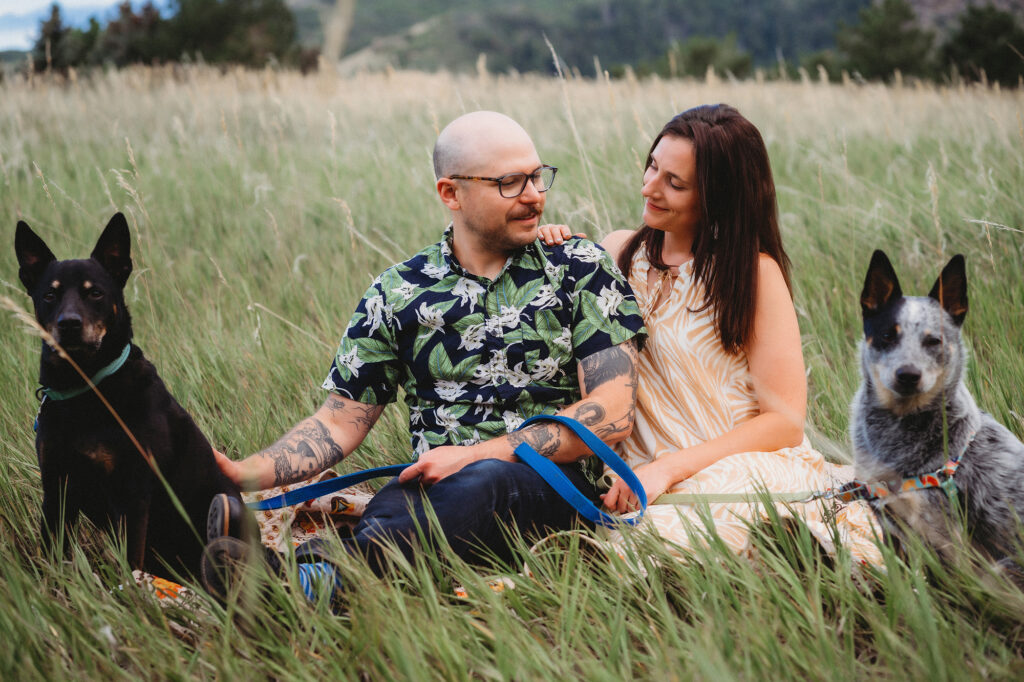 Denver wedding photographer captures couple sitting in grass with dogs