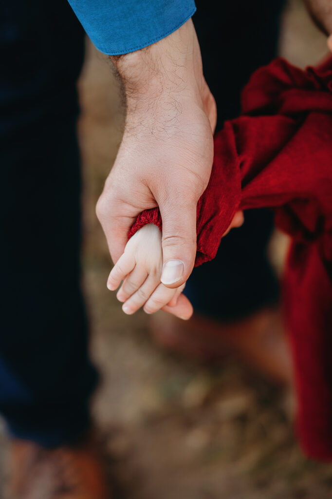 detail shot of father holding his baby's hand for family pictures in Denver