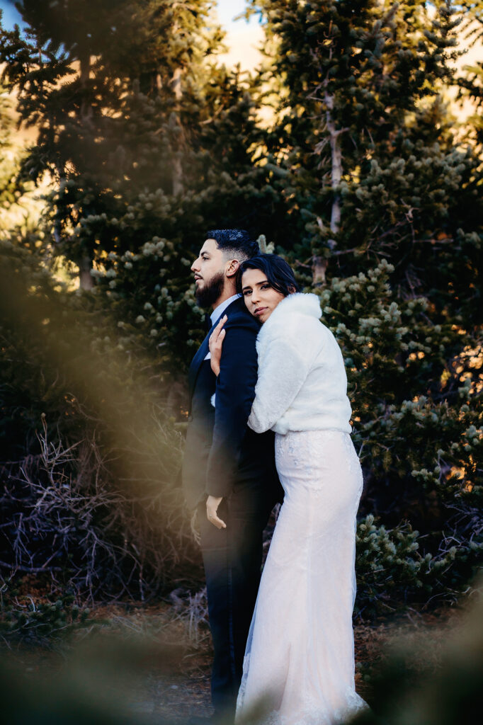 Colorado elopement photographer captures bride hugging groom's back