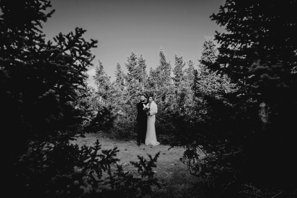 Colorado elopement photographer captures black and white portrait of bride and groom