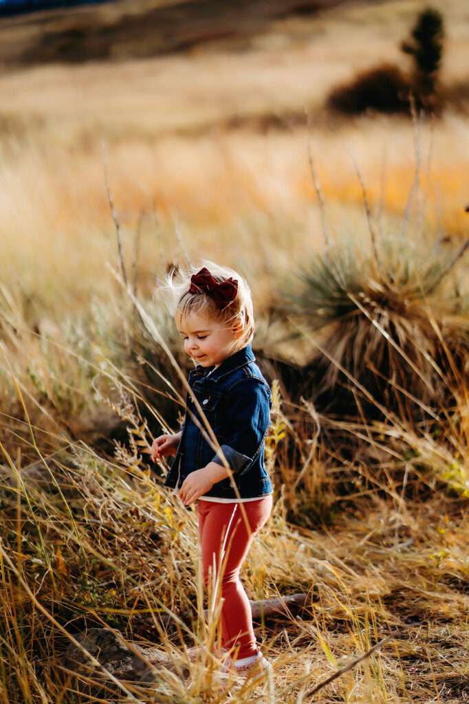 denver family photographers capture little girl walking in a field at sunsets with a bow in her hair