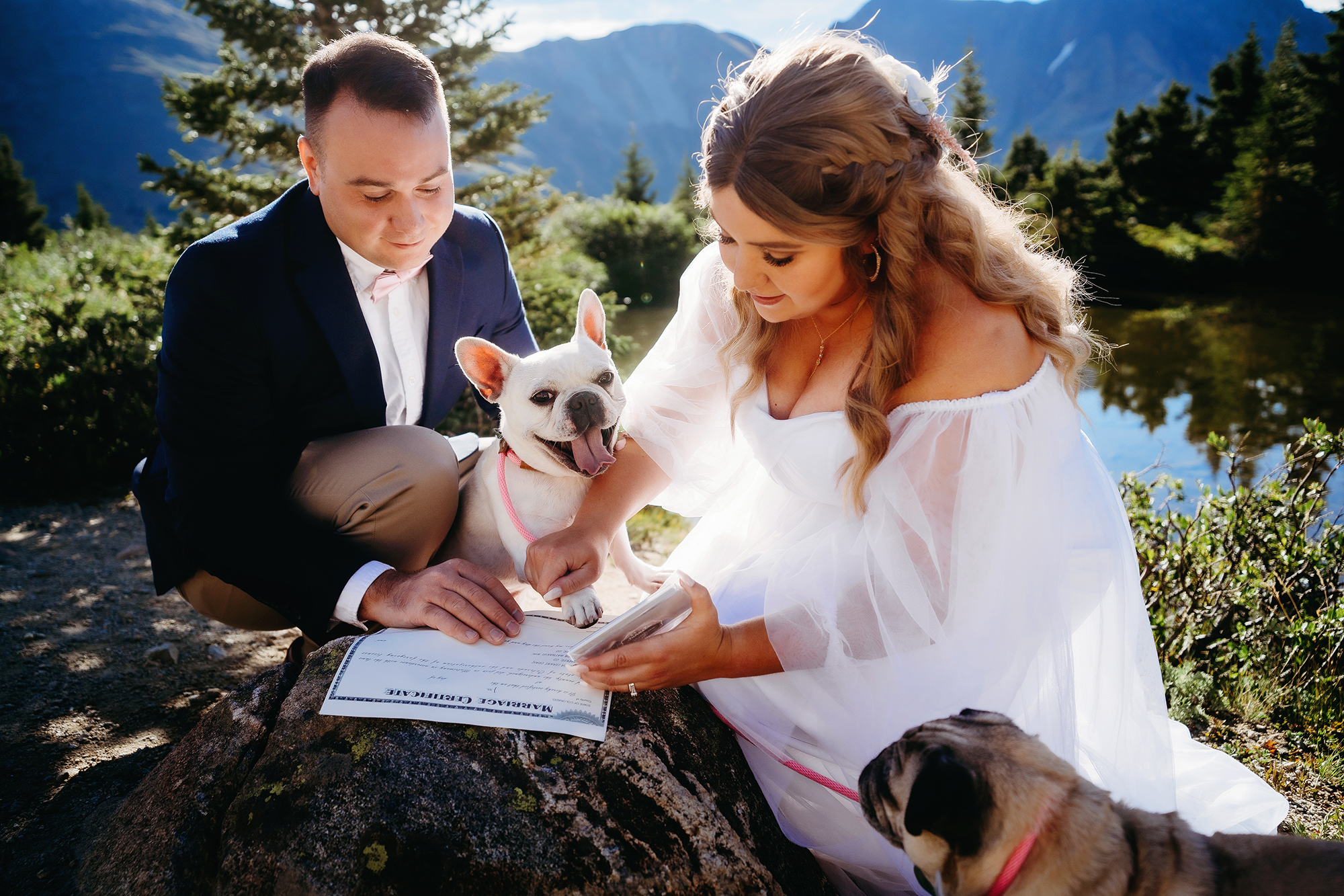 Colorado Elopement Photographer captures bride and groom helping dog 'sign' as witness on marriage license