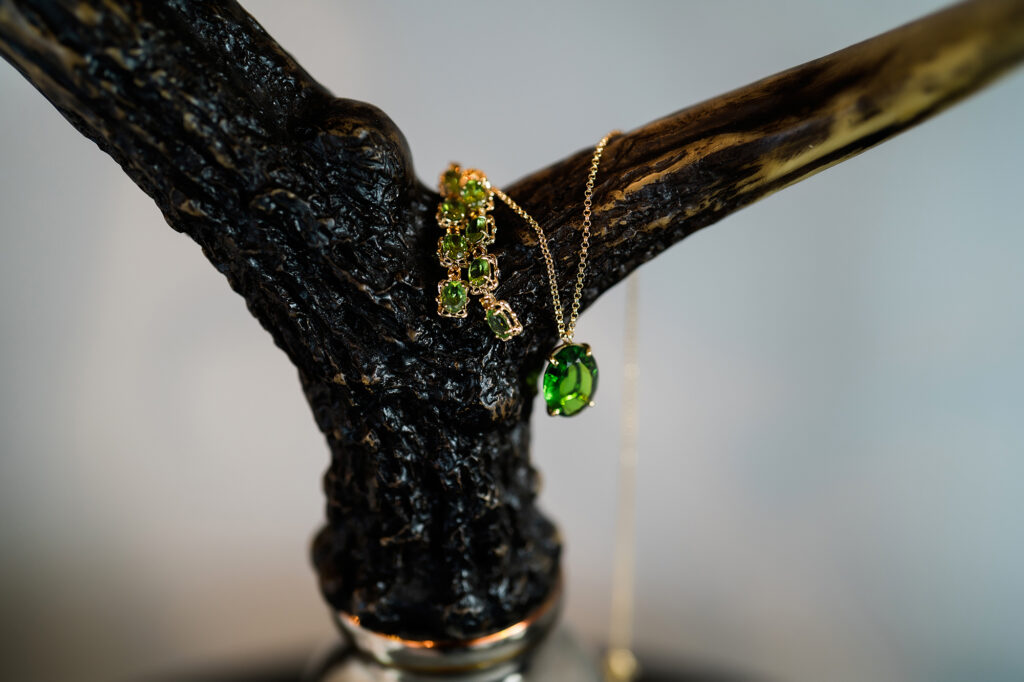 Colorado Elopement Photographer captures necklace hanging on branch during Colorado elopement