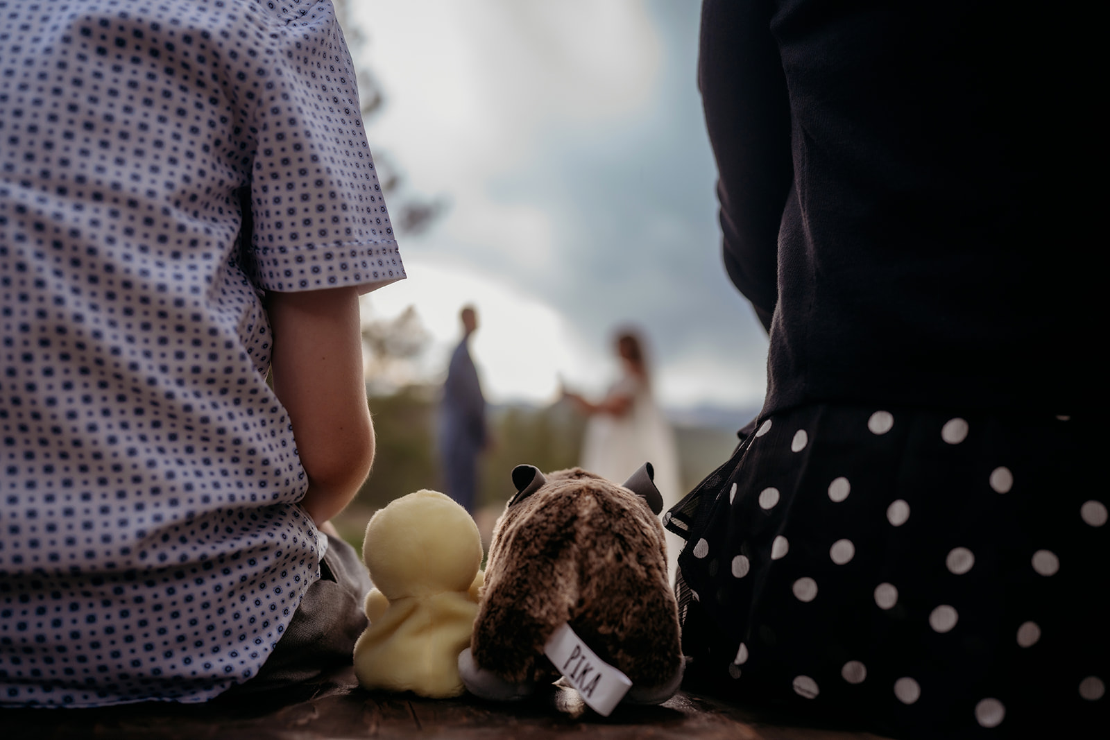Guests’ perspective of Colorado adventure elopement ceremony with stuffed animals in the foreground.