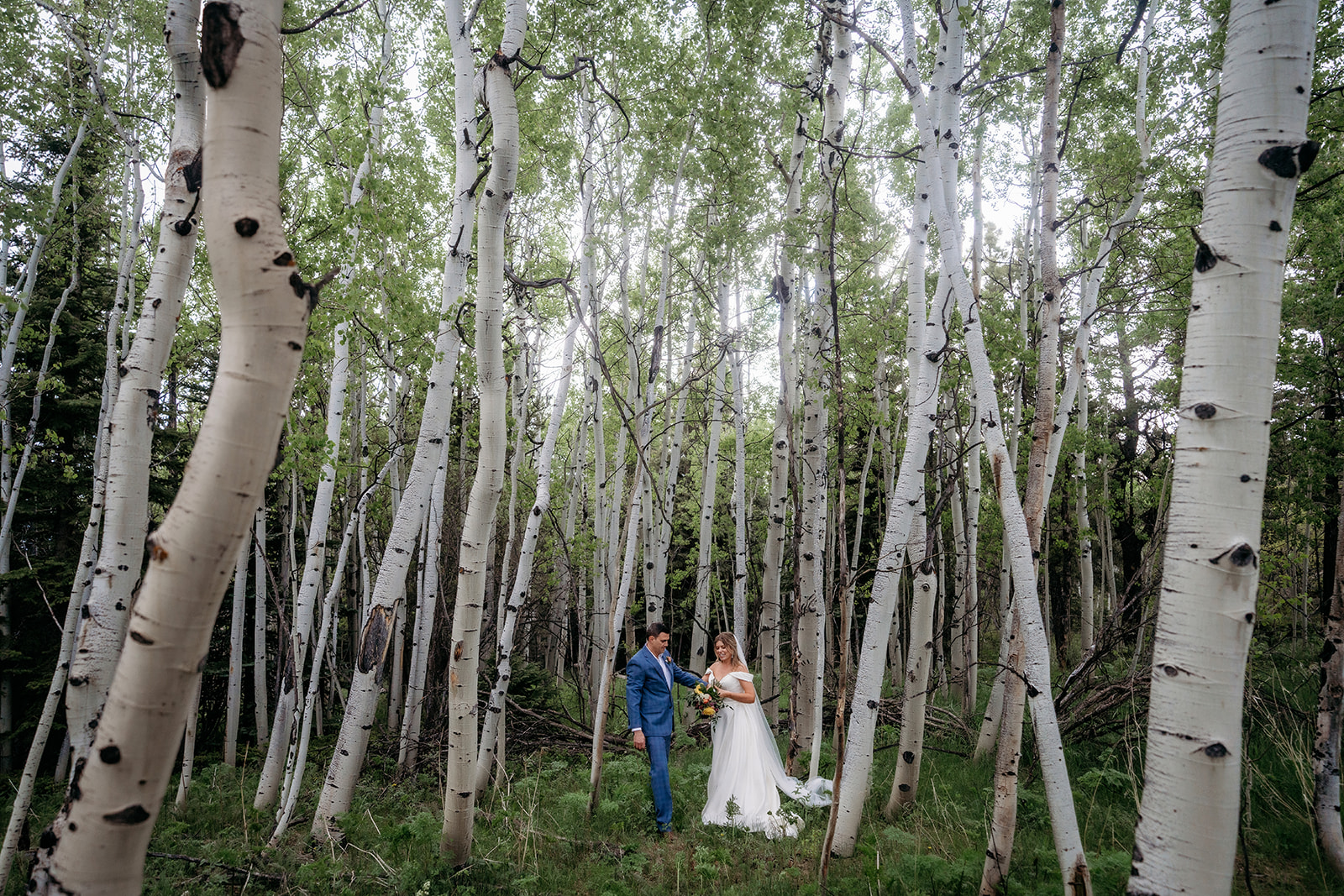 Bride and groom standing in forest of white trees holding hands after forest elopement