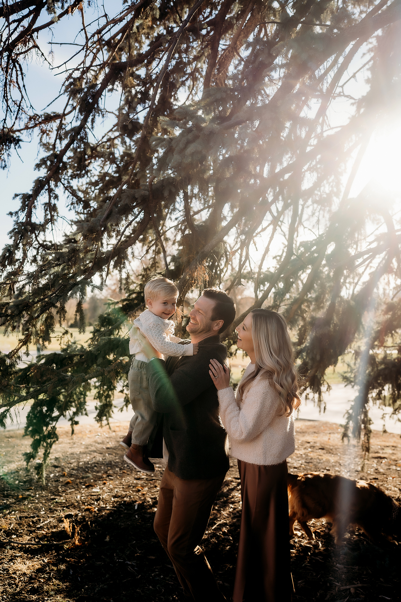 Parents holding their toddler under a large pine tree, dressed in cozy neutrals for outdoor portraits.