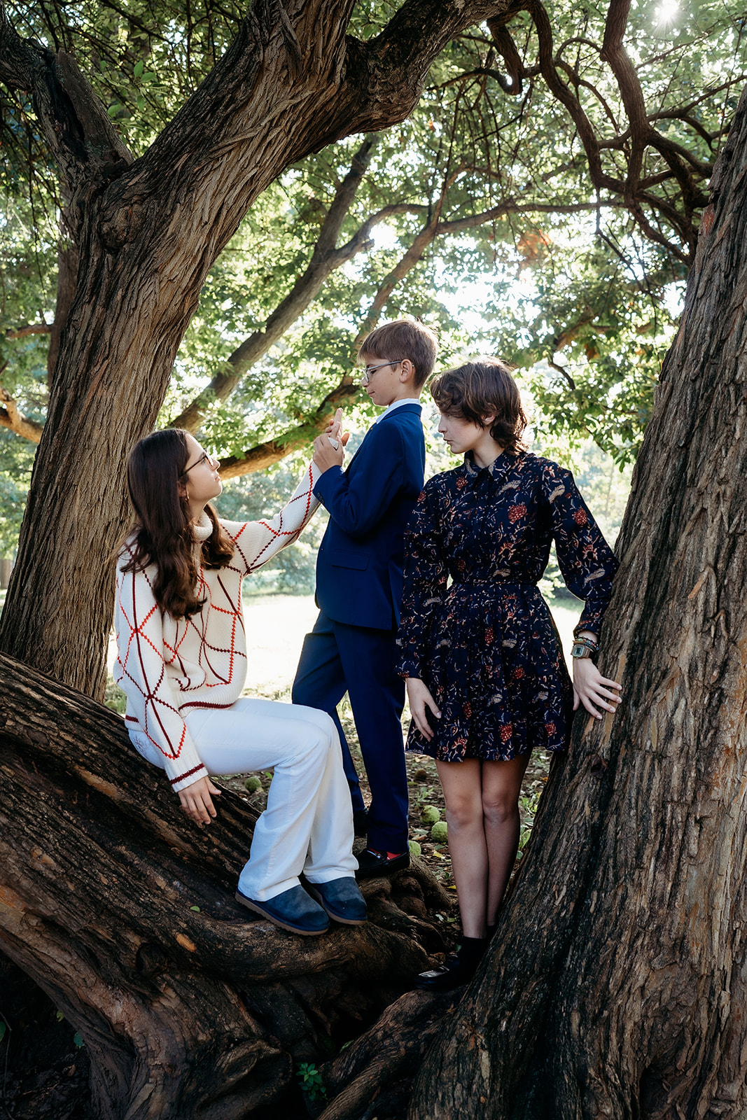 Siblings climb and pose together in the branches of a large tree, adding a bit of adventure to their annual family photos.