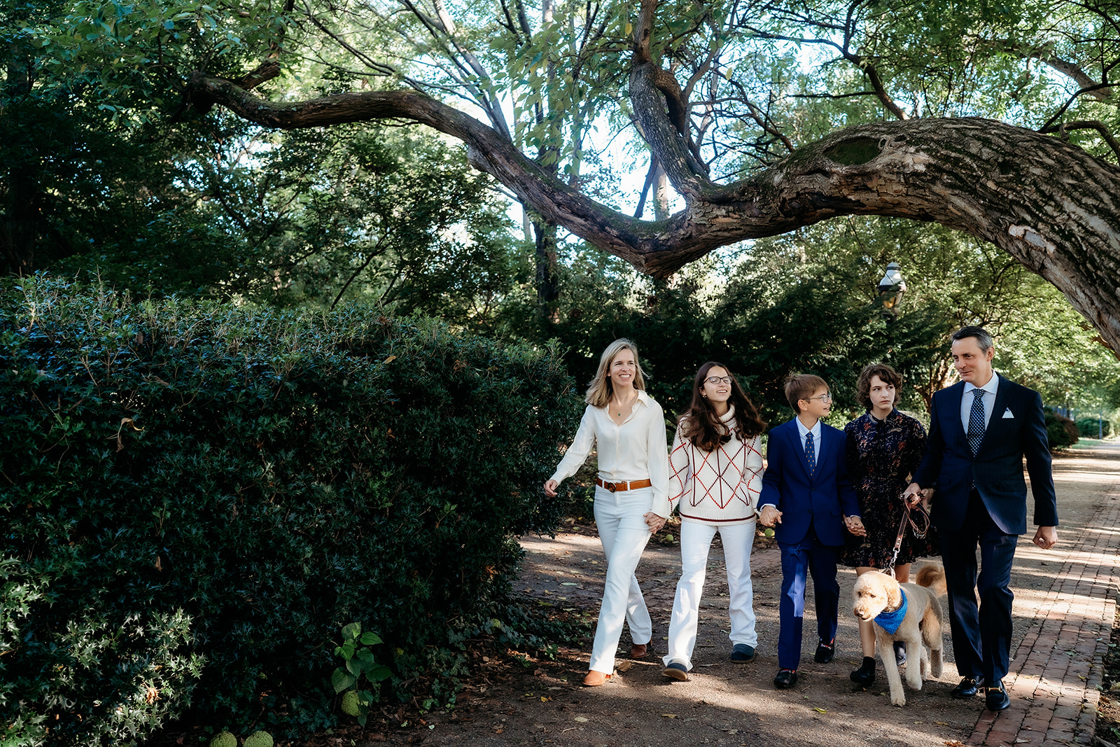 Family walks together beneath a canopy of trees with their dog, creating timeless memories during their annual family photos.