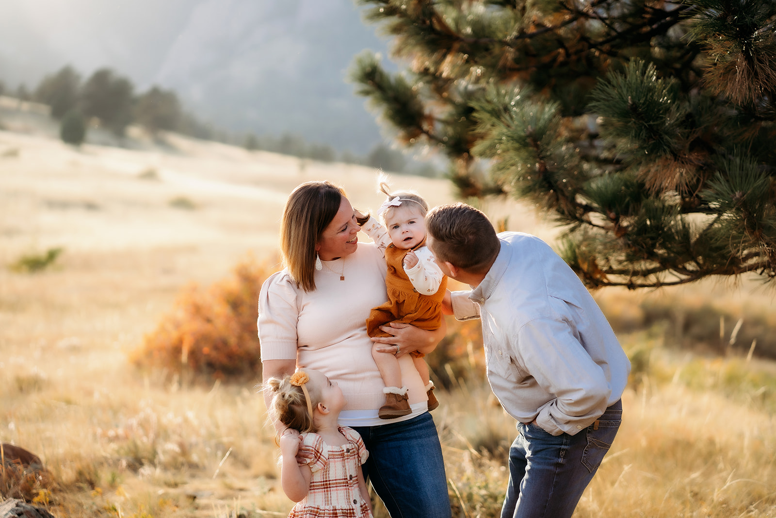 Family of four gathered on a boulder with sun rays streaming across the golden meadow.