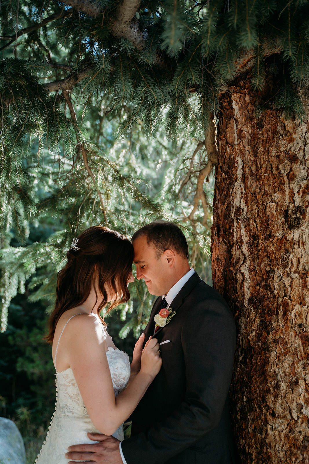 Under the branches of a tall pine, the bride and groom rest their foreheads together in an intimate embrace.