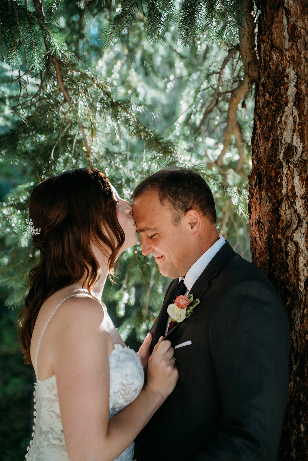 Nestled beneath a pine tree, she kisses his forehead during a tender moment from their elopement in Colorado.