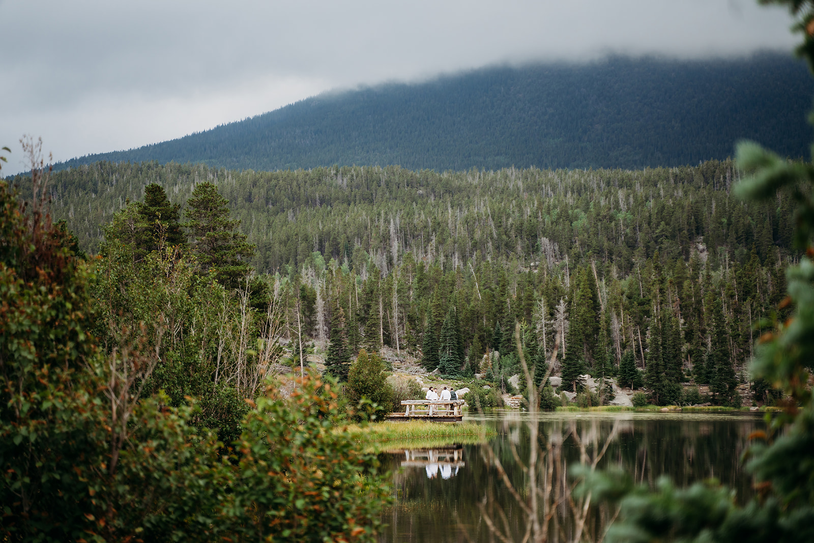 A wide scenic view of the wedding ceremony taking place on a dock, surrounded by pine trees and mountain reflections.