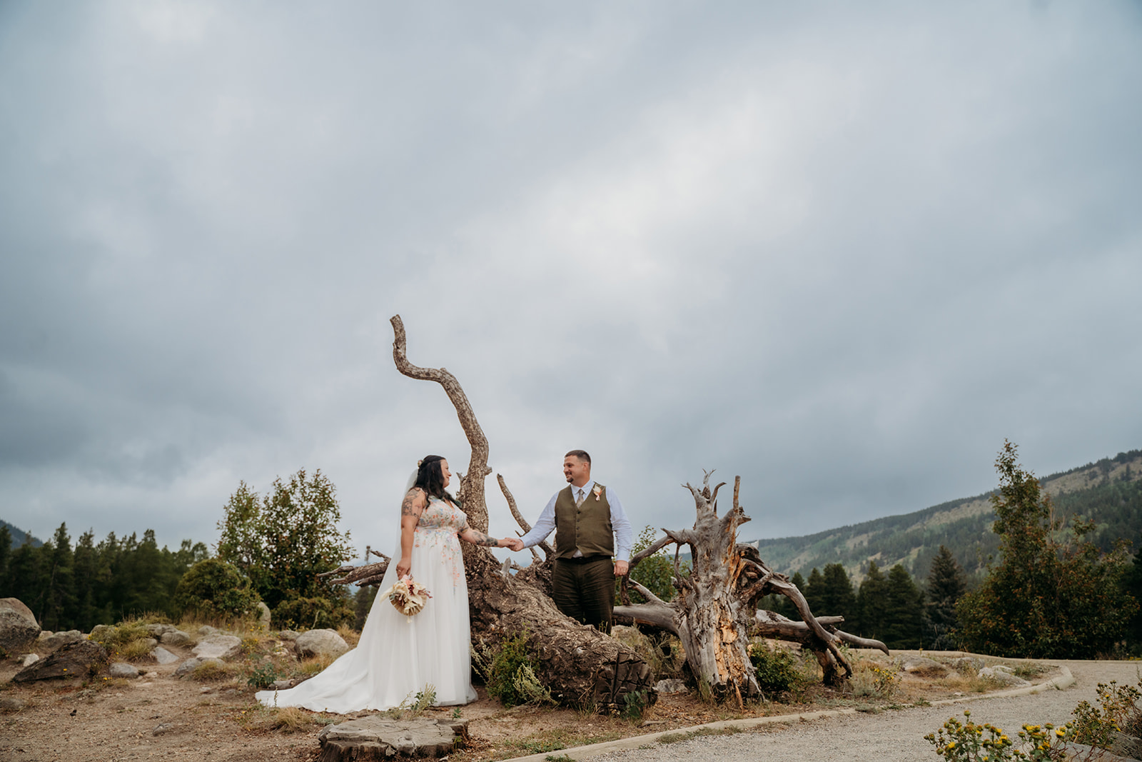 Bride and groom pose beside a twisted tree trunk under dramatic skies, taking in the mountain scenery on their intimate wedding day.
