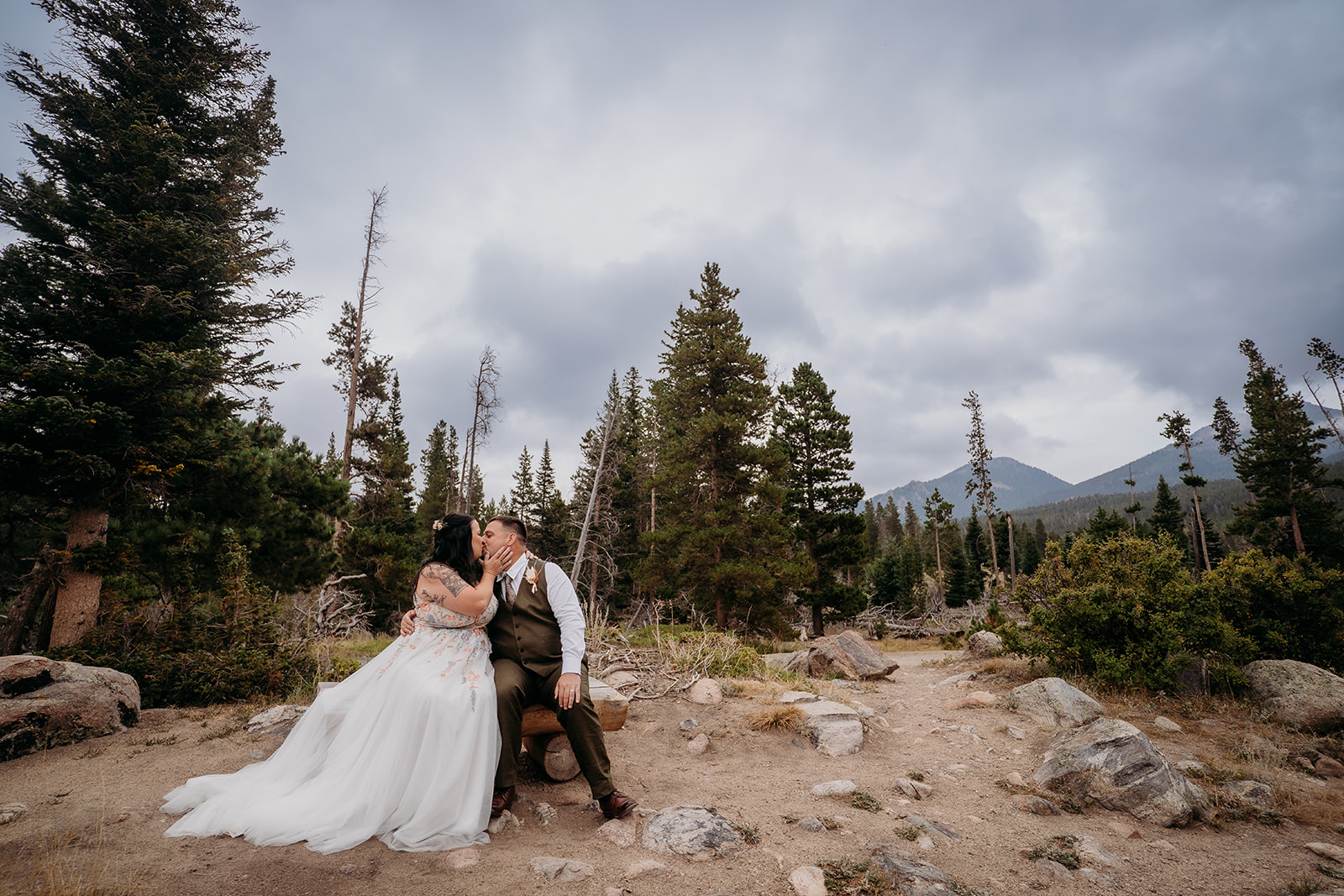 Bride and groom share a kiss while seated on a rustic bench in a mountain clearing, surrounded by evergreens.
