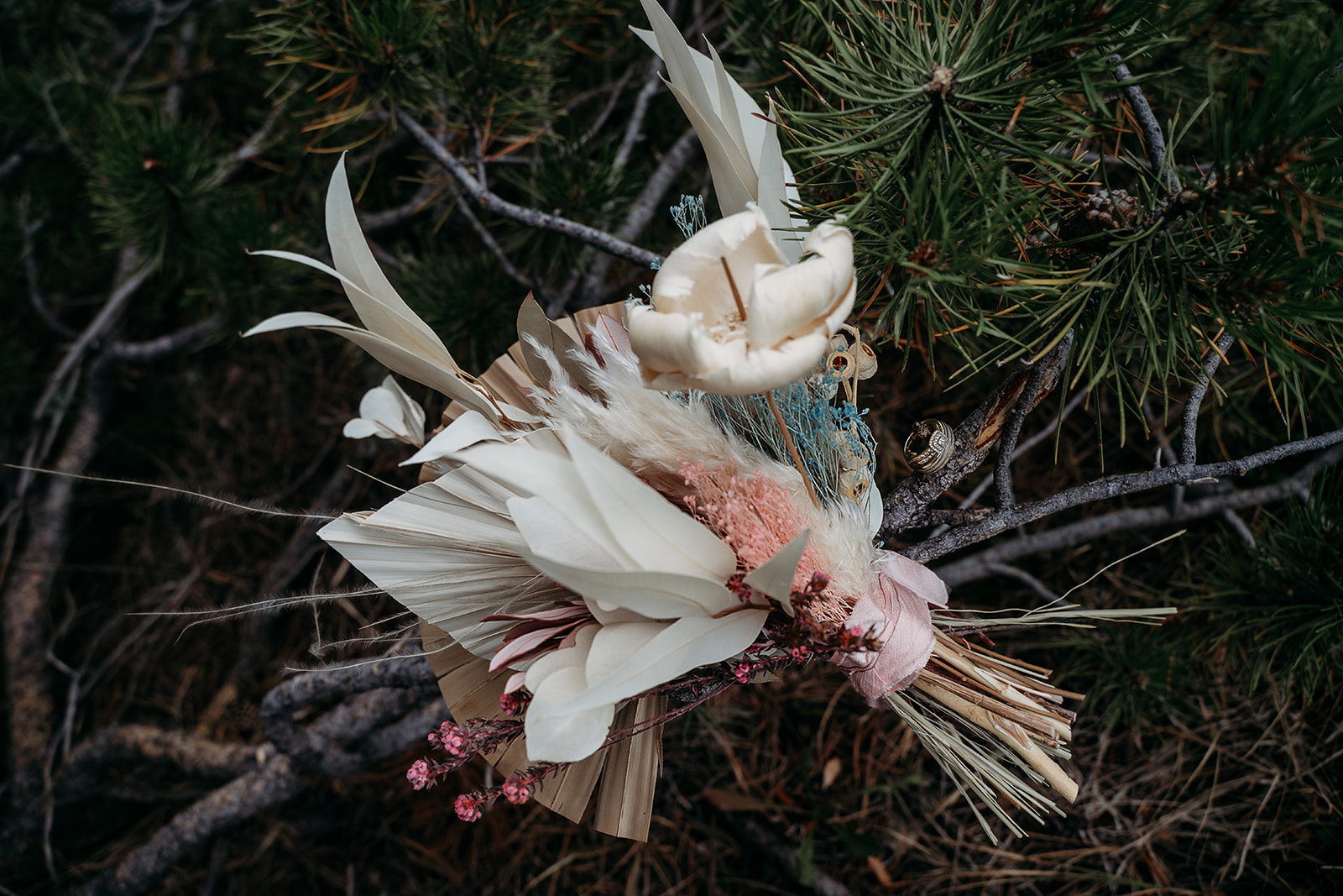 Bride’s dried bouquet of neutral and pastel florals rests gently on pine branches in the forest.