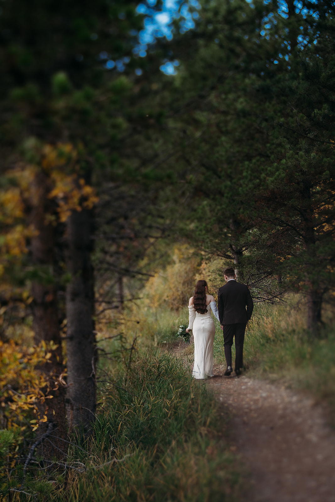 Couple walking hand in hand through forest after eloping in Colorado