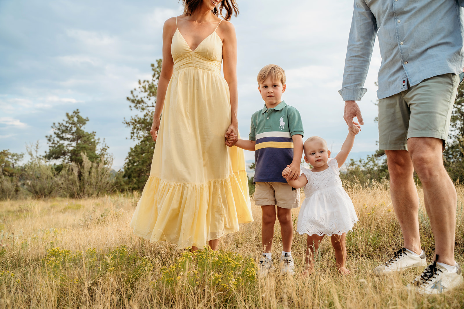 Parents holding hands with their two young children during a golden hour family session in a grassy Colorado meadow.