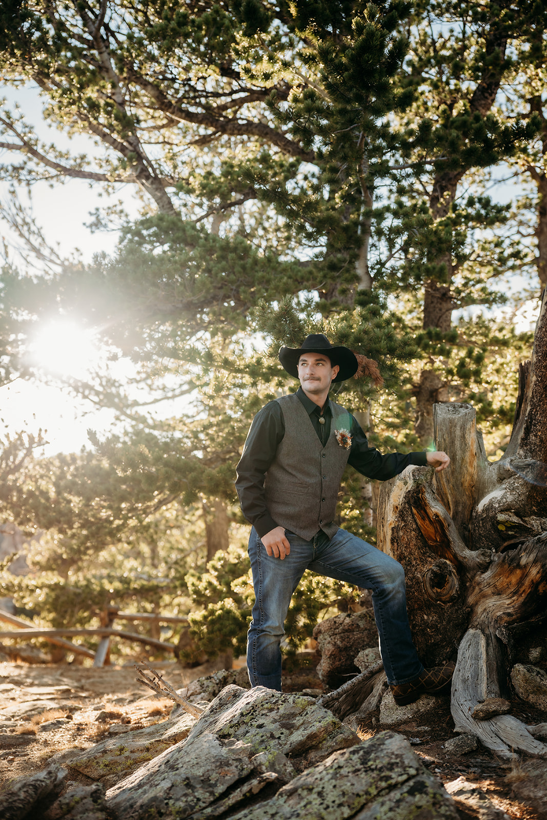 Groom stands among pine trees in golden sunlight, taking a quiet moment before the ceremony begins.