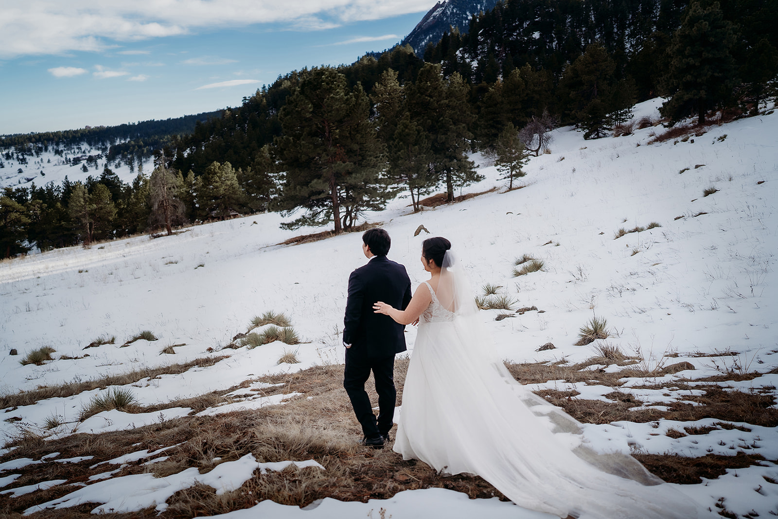 Couple walks hand-in-hand through an open field surrounded by snow and pine trees.