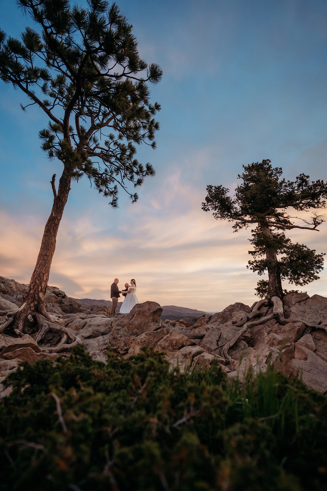 Framed between two pines, the couple holds hands on the rocks below a cotton candy sunset sky.