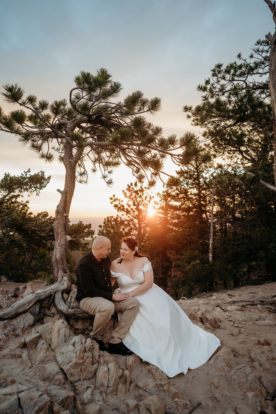 Sunset peeking through the pines as the couple sits close on a rocky ledge, holding hands and taking in their day.