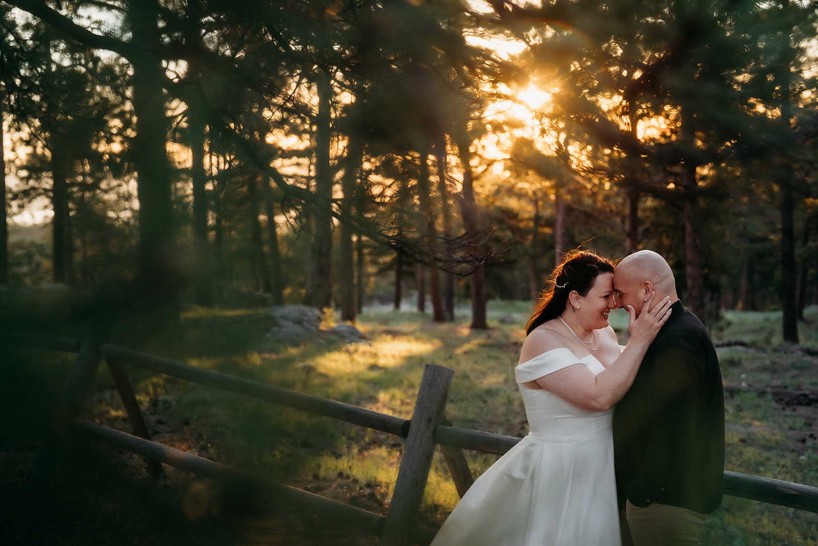 Golden light filters through the trees as the couple shares an intimate forehead-to-forehead moment along a rustic wooden fence.