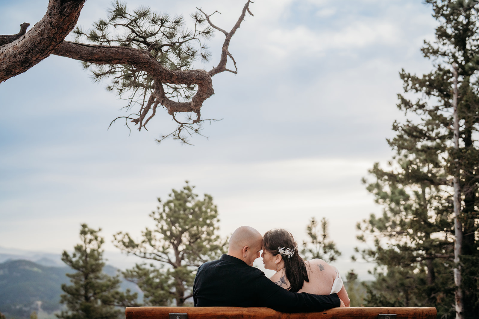 Couple shares a quiet kiss on a wooden bench overlooking the mountains, surrounded by pine trees and peaceful evening light.
