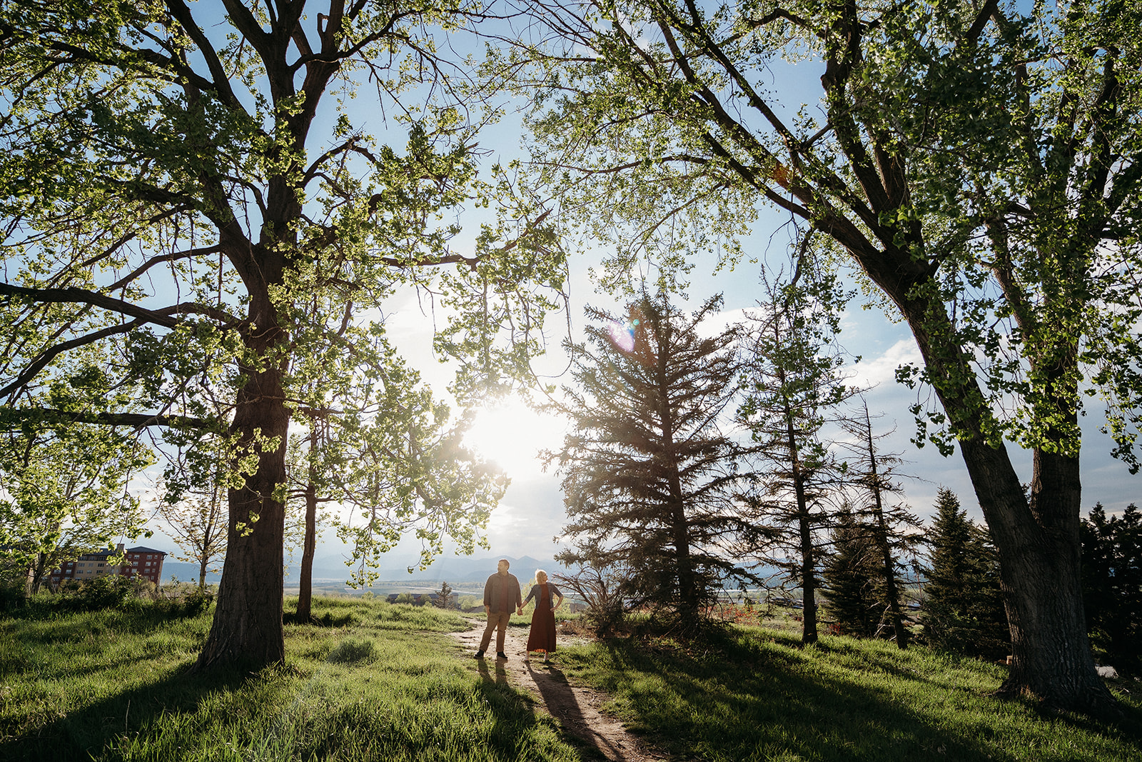 A wide-angle shot of a couple holding hands under tall trees, sunlight streaming through as they walk a dirt path.