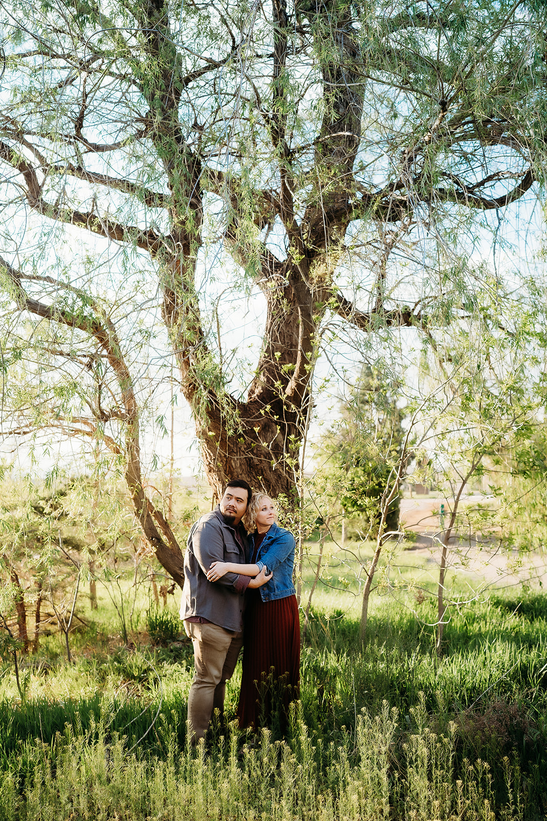 Couple embraces under a large tree in a sun-drenched meadow, smiling gently at the camera—Denver engagement photographer.